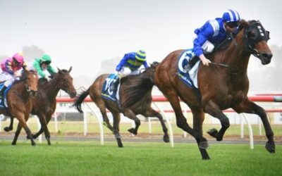 Geelong Cup