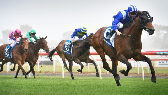 Geelong Cup