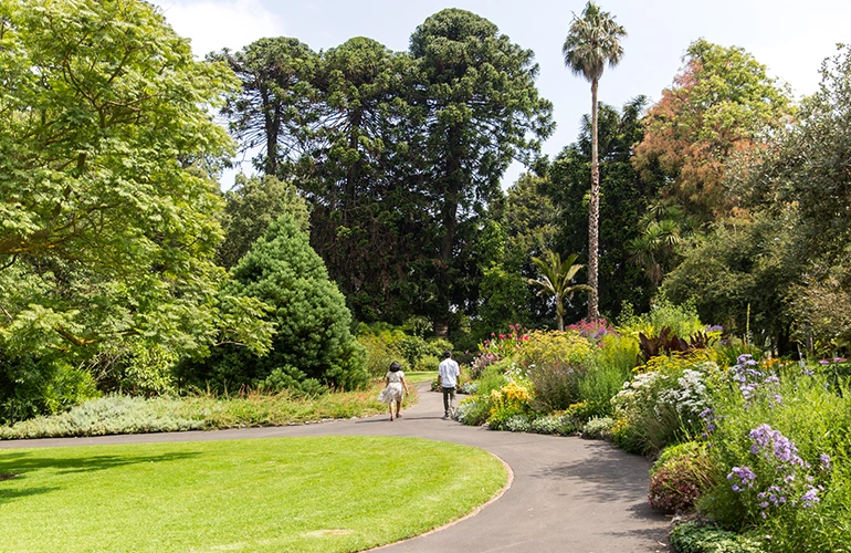 Geelong-botanical-gardens