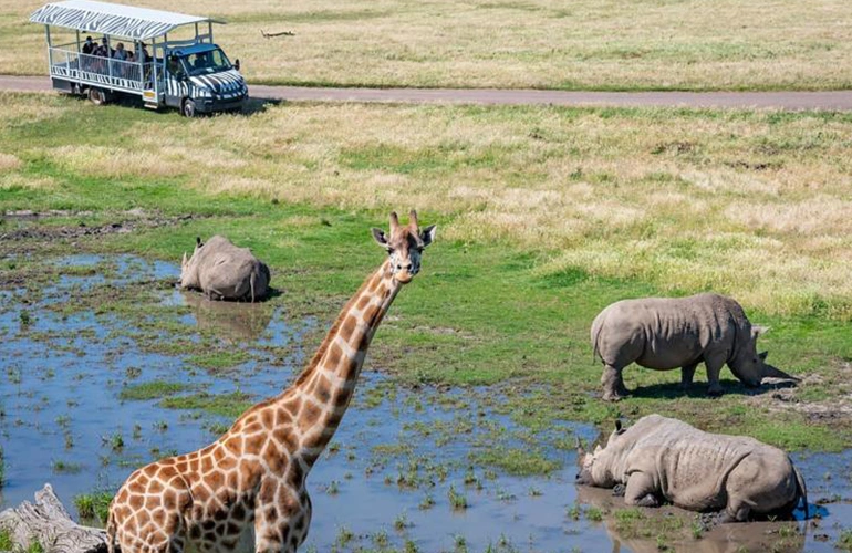 werribee zoo